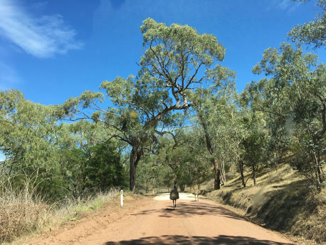 roadtrip bestemming australie